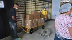 entrega Geneseas