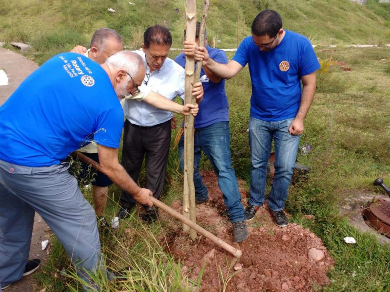 Plantio de árvores na Hebe Camargo